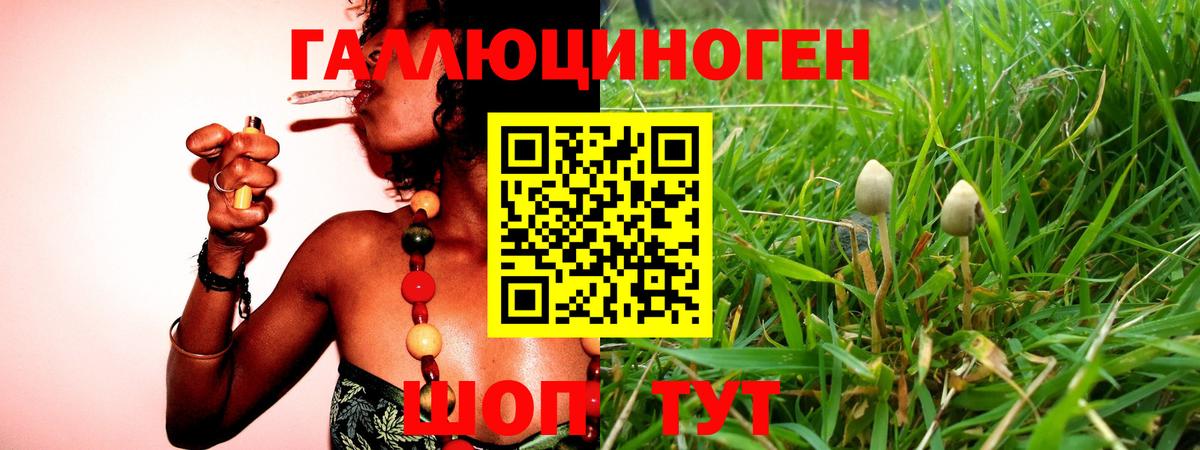 Псилоцибиновые грибы Cubensis  Галлюциногенные грибы прущие грибы  Туапсе  Вход с VPN 